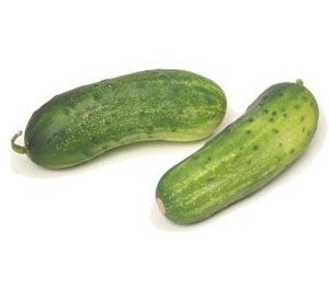 Cucumber (Pickling Cucumber)