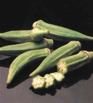 Okra (Clemson Spineless Okra)