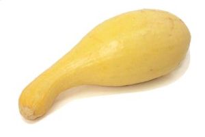 Squash (Yellow Crookneck Squash)