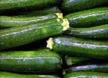 Squash (Zucchini Squash)