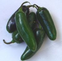 Pepper (Jalapeno Pepper)