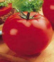 Tomato (Beefsteak Tomato)