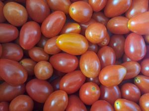 Tomato (Grape Tomato)