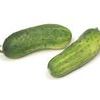 Cucumber 'Pickling'