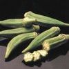 Okra 'Clemson Spineless'